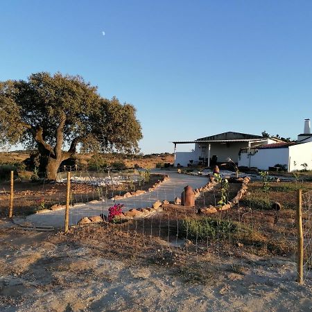 Monte Beatriz Villa Reguengos de Monsaraz Exteriör bild