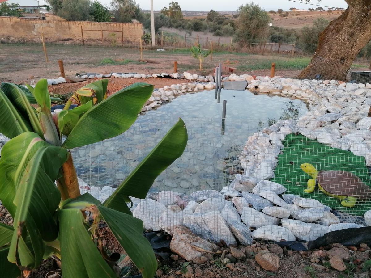 Monte Beatriz Villa Reguengos de Monsaraz Exteriör bild