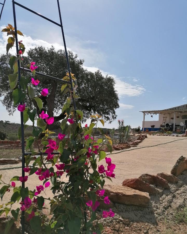 Monte Beatriz Villa Reguengos de Monsaraz Exteriör bild
