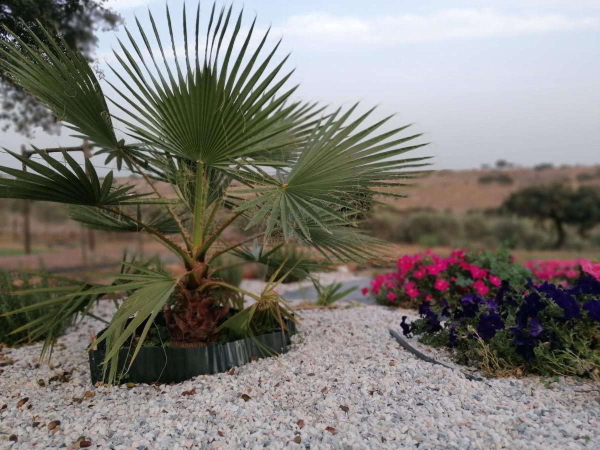 Monte Beatriz Villa Reguengos de Monsaraz Exteriör bild