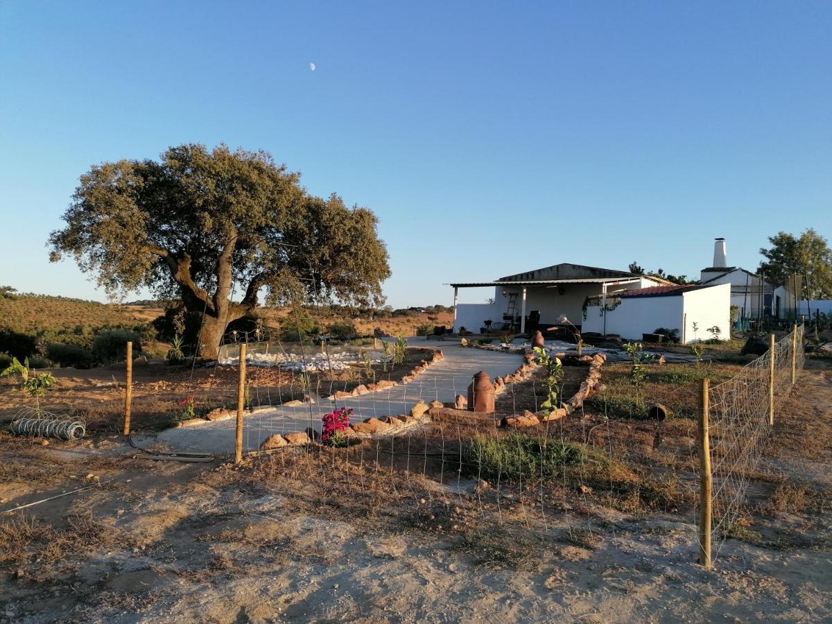 Monte Beatriz Villa Reguengos de Monsaraz Exteriör bild