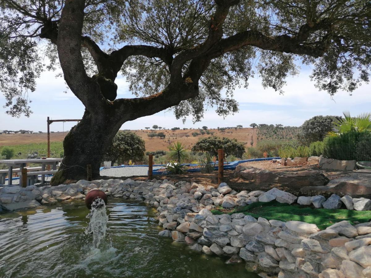 Monte Beatriz Villa Reguengos de Monsaraz Exteriör bild